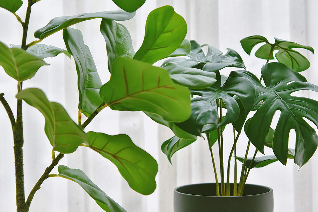 Property styling faux plants